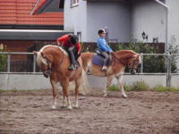 Reitplatz